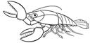 Lobster