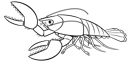 Lobster