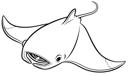 Manta Ray