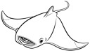 Manta Ray