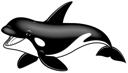Orca 1