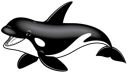 Orca 1