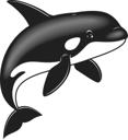 Orca 2