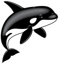 Orca 2
