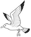 Sea Gull