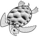 Sea Turtle 1