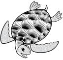 Sea Turtle 1