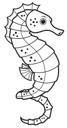 Seahorse