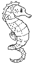 Seahorse