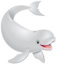 Beluga 1