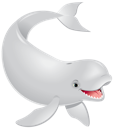 Beluga 1