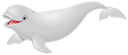 Beluga 2