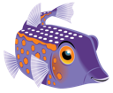 Boxfish Blue