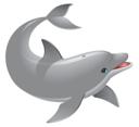Dolphin 1