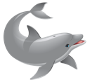 Dolphin 1