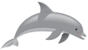 Dolphin 2