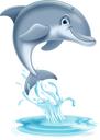 Dolphin Fin