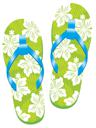 Flip Flop 1