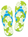 Flip Flop 1
