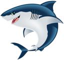 Great White Shark