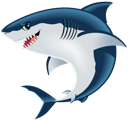 Great White Shark