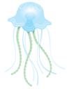 Jellyfish 1
