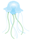 Jellyfish 1