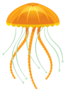 Jellyfish 2