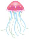 Jellyfish 3