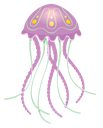 Jellyfish 4