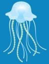 Jellyfish In Water 1