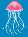 Jellyfish In Water 3