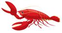 Lobster