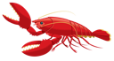 Lobster