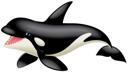 Orca 1