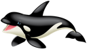Orca 1