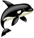 Orca 2