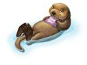 Sea Otter Paws