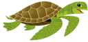 Sea Turtle 1