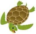 Sea Turtle 2