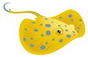 Stingray