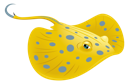 Stingray
