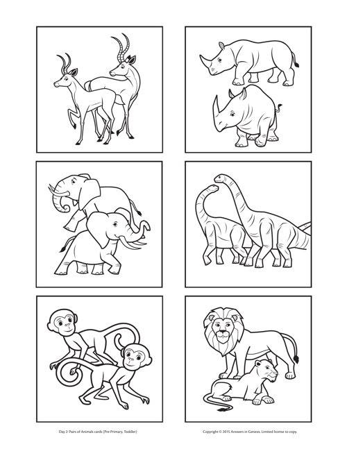 Day 2 Pairs Of Animals