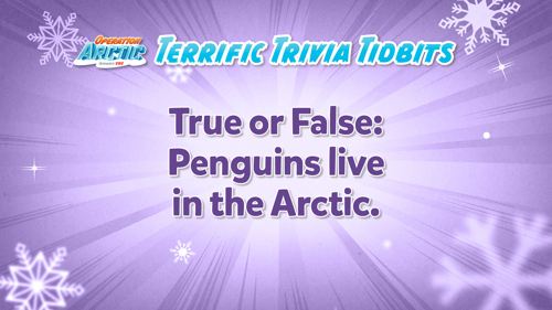 Oavbs Slides Terrifictrivia 1