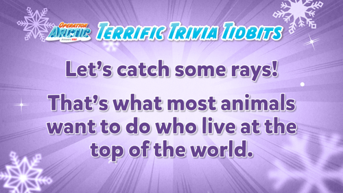 Oavbs Slides Terrifictrivia 10