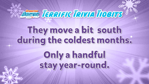 Oavbs Slides Terrifictrivia 11