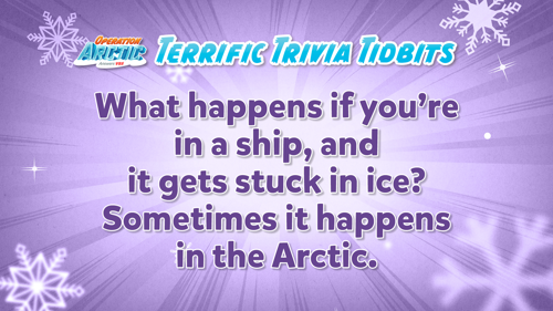 Oavbs Slides Terrifictrivia 12