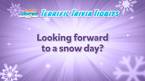Oavbs Slides Terrifictrivia 14