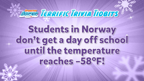 Oavbs Slides Terrifictrivia 15