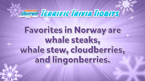 Oavbs Slides Terrifictrivia 22